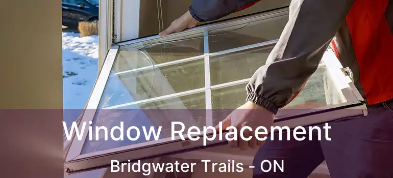  Window Replacement Bridgwater Trails - ON