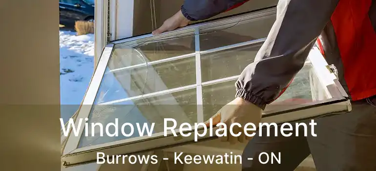  Window Replacement Burrows - Keewatin - ON