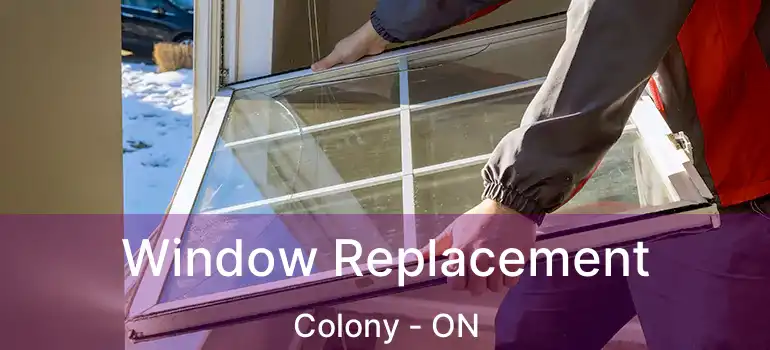  Window Replacement Colony - ON
