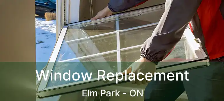  Window Replacement Elm Park - ON
