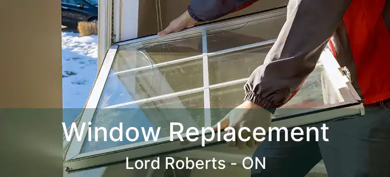  Window Replacement Lord Roberts - ON
