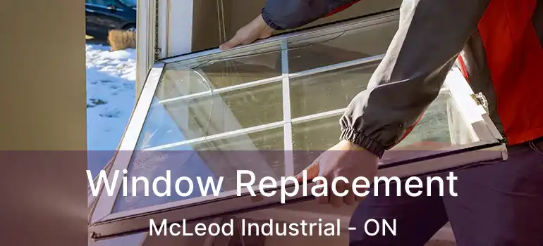  Window Replacement McLeod Industrial - ON