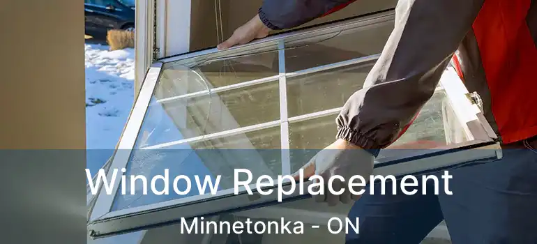  Window Replacement Minnetonka - ON