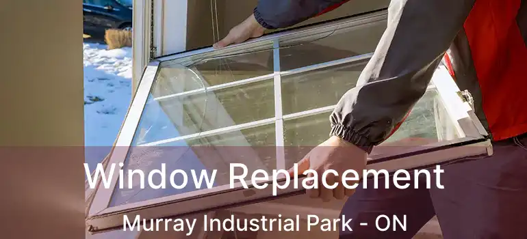  Window Replacement Murray Industrial Park - ON