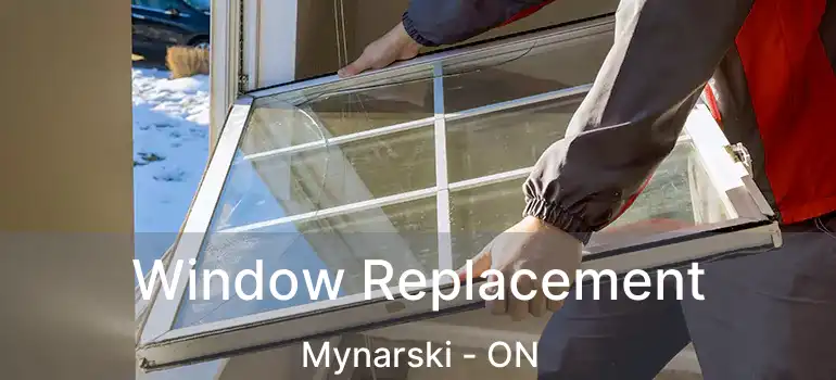 Window Replacement Mynarski - ON