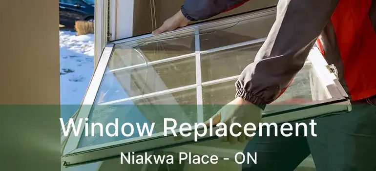  Window Replacement Niakwa Place - ON