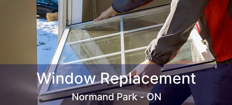  Window Replacement Normand Park - ON