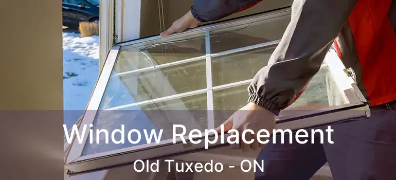  Window Replacement Old Tuxedo - ON