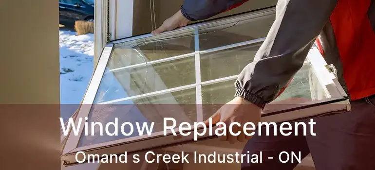  Window Replacement Omand s Creek Industrial - ON