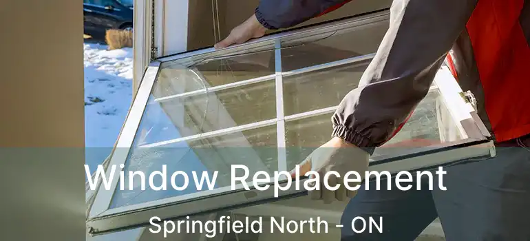  Window Replacement Springfield North - ON
