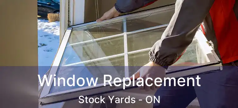  Window Replacement Stock Yards - ON