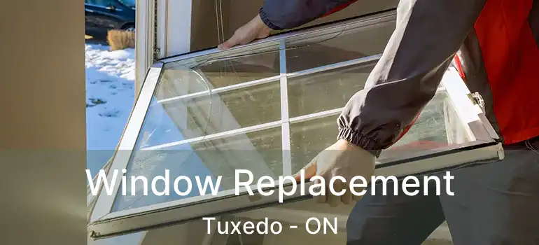  Window Replacement Tuxedo - ON