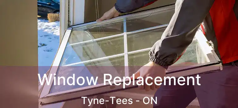  Window Replacement Tyne-Tees - ON