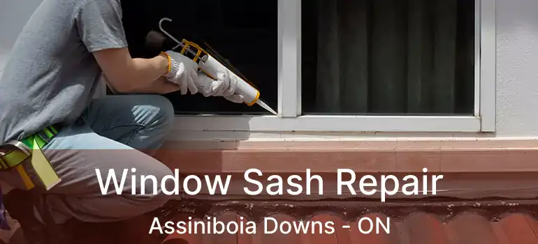  Window Sash Repair Assiniboia Downs - ON