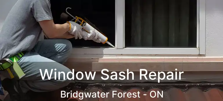  Window Sash Repair Bridgwater Forest - ON
