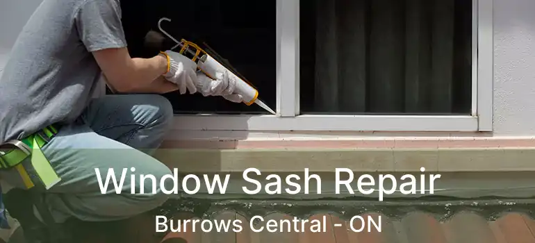  Window Sash Repair Burrows Central - ON