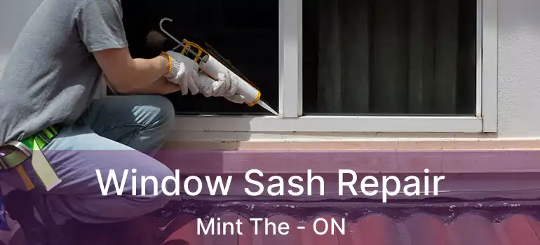  Window Sash Repair Mint The - ON
