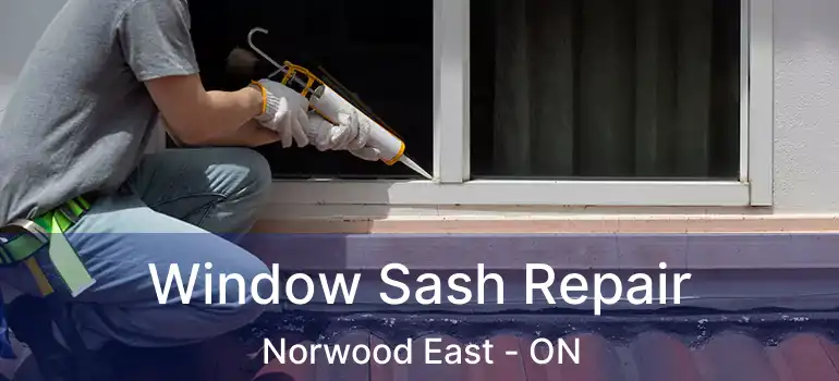  Window Sash Repair Norwood East - ON