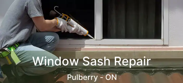  Window Sash Repair Pulberry - ON