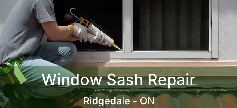  Window Sash Repair Ridgedale - ON