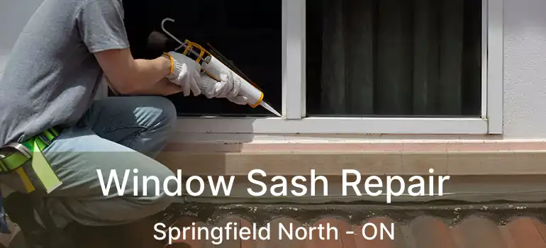  Window Sash Repair Springfield North - ON