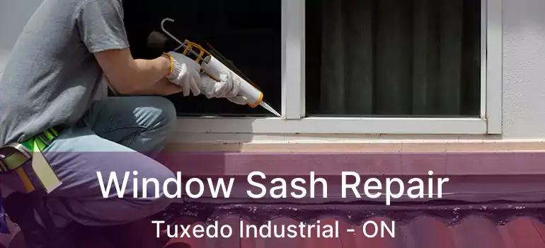  Window Sash Repair Tuxedo Industrial - ON