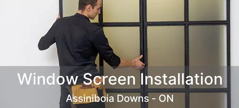  Window Screen Installation Assiniboia Downs - ON