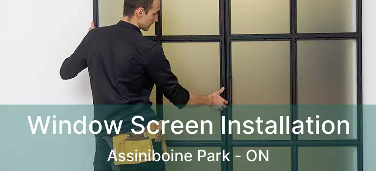 Window Screen Installation Assiniboine Park - ON
