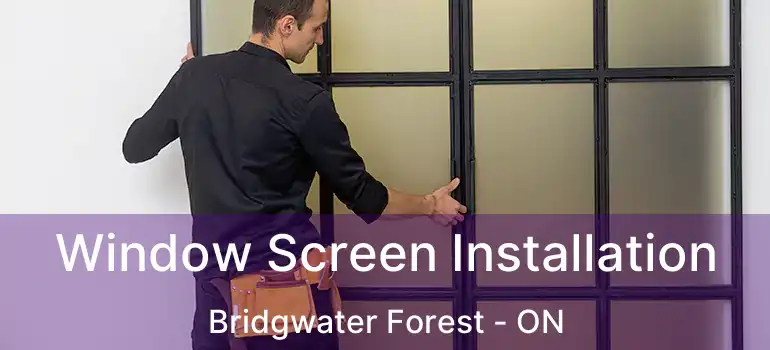  Window Screen Installation Bridgwater Forest - ON