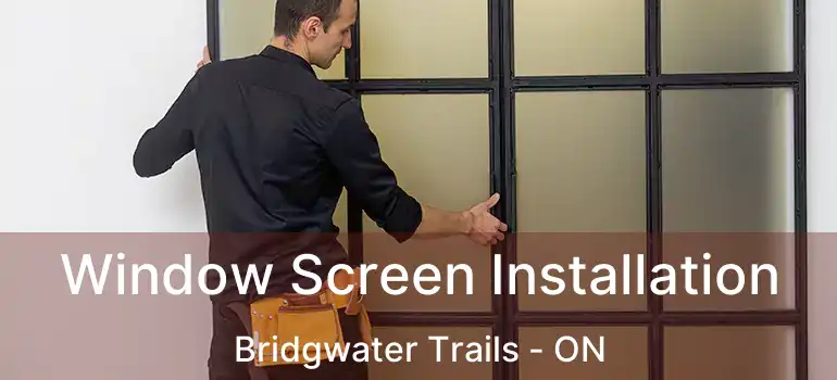  Window Screen Installation Bridgwater Trails - ON
