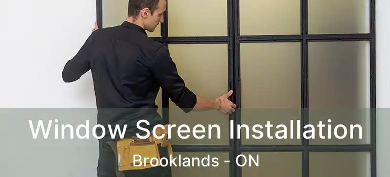  Window Screen Installation Brooklands - ON