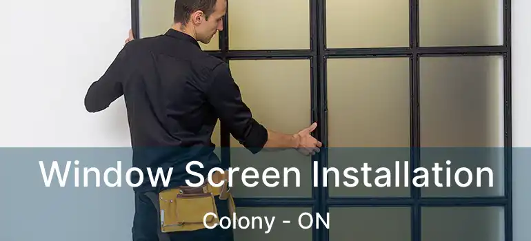  Window Screen Installation Colony - ON
