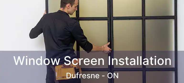  Window Screen Installation Dufresne - ON