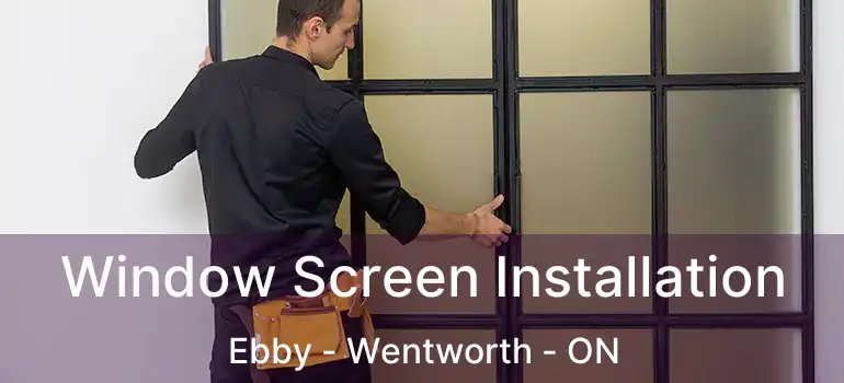  Window Screen Installation Ebby - Wentworth - ON