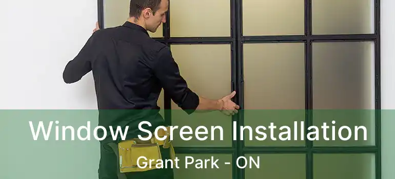  Window Screen Installation Grant Park - ON