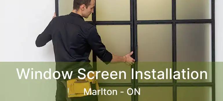  Window Screen Installation Marlton - ON