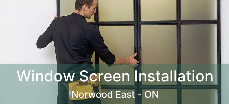  Window Screen Installation Norwood East - ON