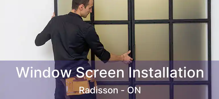  Window Screen Installation Radisson - ON