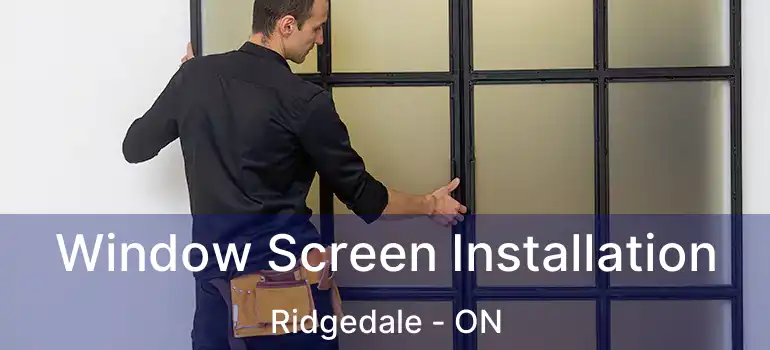  Window Screen Installation Ridgedale - ON