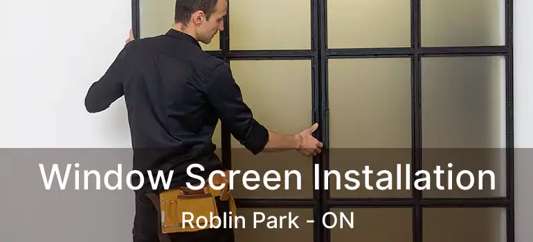  Window Screen Installation Roblin Park - ON
