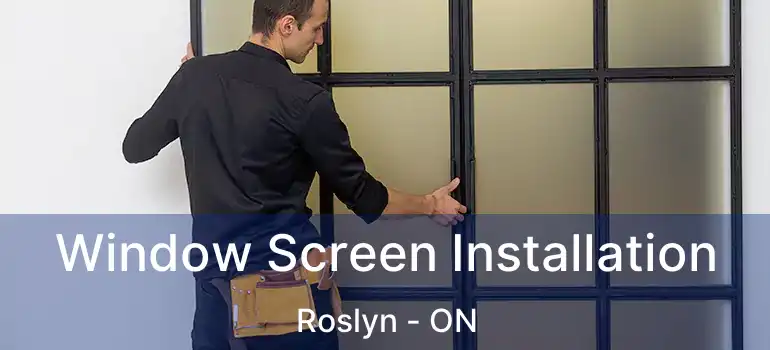  Window Screen Installation Roslyn - ON