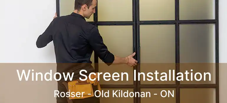  Window Screen Installation Rosser - Old Kildonan - ON