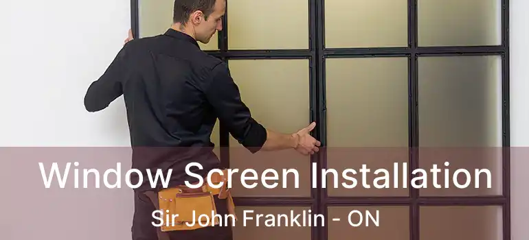  Window Screen Installation Sir John Franklin - ON