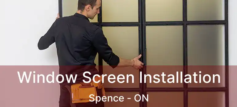  Window Screen Installation Spence - ON