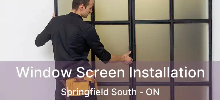  Window Screen Installation Springfield South - ON