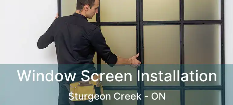  Window Screen Installation Sturgeon Creek - ON