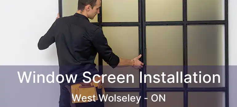  Window Screen Installation West Wolseley - ON