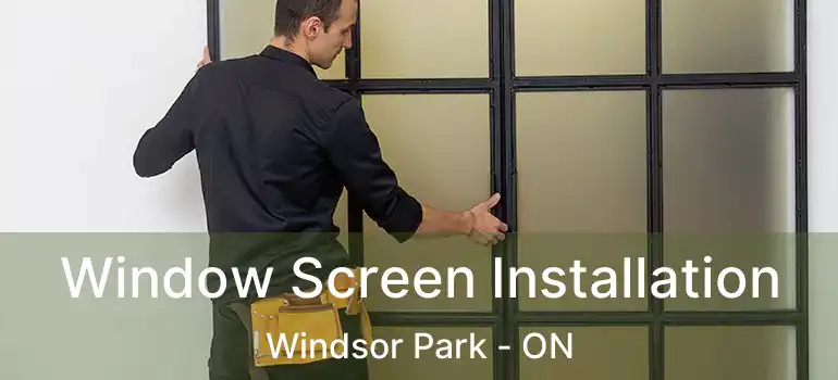  Window Screen Installation Windsor Park - ON