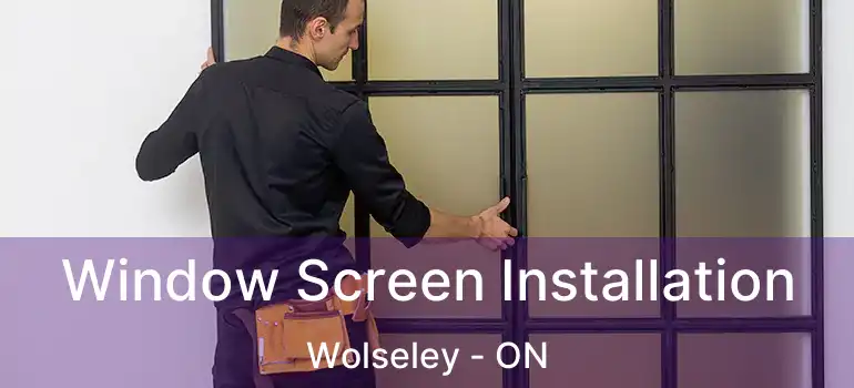  Window Screen Installation Wolseley - ON