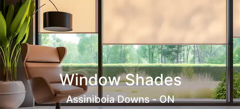  Window Shades Assiniboia Downs - ON